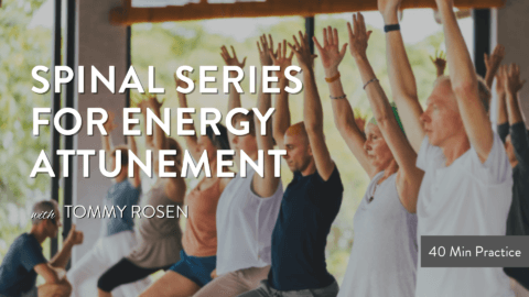 Spinal Series for Energy Attunement